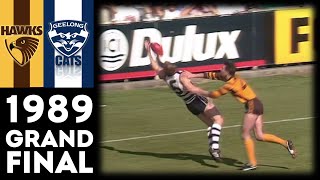 1989 VFL Grand Final  Hawthorn Vs Geelong Extended Highlights [upl. by Verna]