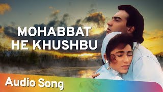 Mohabbat He Khushbu  Jigar 1992  Ajay Devgan  Karishma Kapoor  Mohammad Aziz Collection [upl. by Jerold]