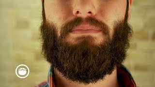 What to Do About Mustache Gaps  YEARD WEEK 12 [upl. by Husein]