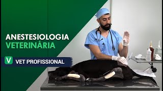 Anestesiologia Veterinária l VET Profissional [upl. by Averell]