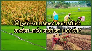 நெல் வயலை கனவில் கண்டால் என்ன பலன்Nel vayalai kanavil kantal enna palan [upl. by Irianat]