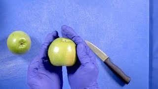 Peel Core and Slice Apples [upl. by Ewart]