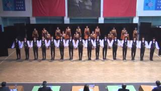 Turkish Folk Dances  HORON [upl. by Gnirol]