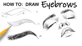 HOW TO DRAW Eyebrows [upl. by Leelah]