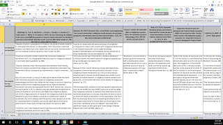 How to Create a Literature Matrix Excel [upl. by Remmos269]