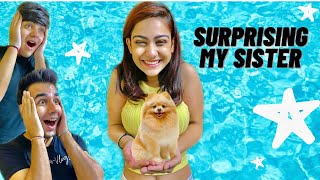 SURPRISING MY SISTER WITH A NEW DOG  Rimorav Vlogs [upl. by Notlad]