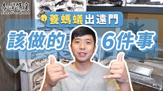 超密集螞蟻餵食秀！過年出門螞蟻怎麼顧？｜【蟻窟小教室】臺灣蟻窟 [upl. by Charmaine560]