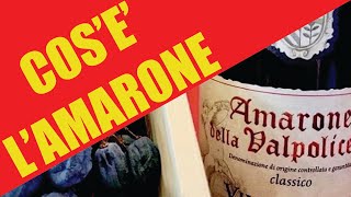 Amarone della Valpolicella DOCG Che cosè [upl. by Ardnalac]