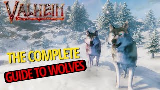 Complete Guide To Wolves Damage Breeding Aggro Range  Valheim [upl. by Soirtemed]