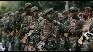 DESFILE MILITAR DO DIA DE PORTUGAL 2019 [upl. by Leanatan]