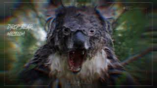 Drop bear sounds [upl. by Erotavlas]