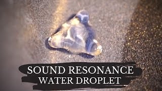 Cymatics experiment  Merkaba Sound Resonance of Water Droplet  Sacred Geometry [upl. by Assilac262]