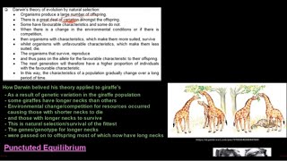 Grade 12 Life Sciences Evolution Part 2 [upl. by Felske334]