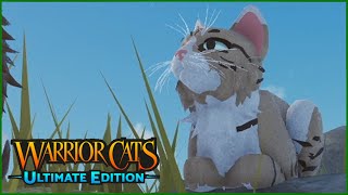 The drama of WindClan  Warrior Cats Ultimate Edition [upl. by Verada]