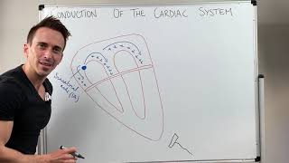 Heart Conduction amp ECG EKG Interpretation [upl. by Dhruv]