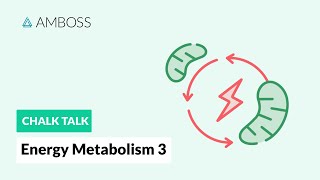 Energy Metabolism  Part 3 Regulation of Glycolysis [upl. by Hairabez]