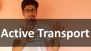 Active transport  Membrane transport lecture [upl. by Gula340]