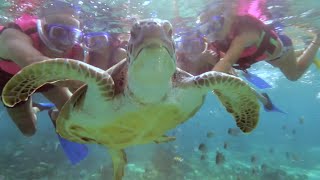 Tour Snorkel  Xcaret México Cancún Eco Park [upl. by Schnurr]