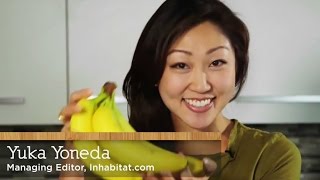 How to eat banana peels  with Yuka Yoneda [upl. by Tnecniv]