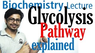 Glycolysis biochemistry [upl. by Luahs125]