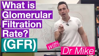 Glomerular Filtration Rate GFR  Renal System [upl. by Clercq]