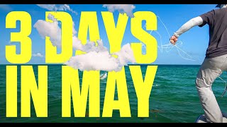 3 Days in May  Fly Fishing for Tarpon [upl. by Adnuhsal695]