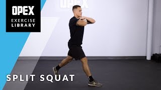 Split Squat [upl. by Otrebliw]