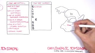 Cholinergic and Anticholinergic Toxicity Toxidrome [upl. by Thom]