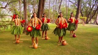 Beautiful Hula  Polynesian Dancers [upl. by Sayette]