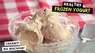 Homemade Frozen Yogurt HEALTHY CREAMY NO MACHINE REQUIRED [upl. by Virg964]