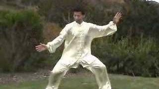 Wu Tai Chi Taiji [upl. by Frasch]