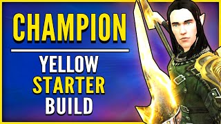 LOTRO Champion Yellow Build Starter Guide [upl. by Enneire]