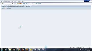 SAP BASIS Tcode SUIM [upl. by Namra]