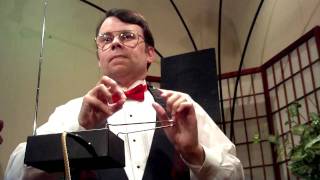 Der Erlkonig on Burns B3 Theremin [upl. by Fisk]