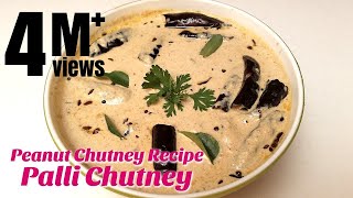 Palli Chutney  Peanut Chutney Recipe  How to make Chutney  Hyderabadi Ruchulu [upl. by Aicnom]