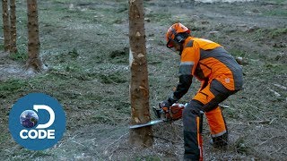 How to Battle with a Professional Lumberjack [upl. by Putnam]