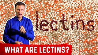 What Are Lectins – Dr Berg [upl. by Llecrup441]