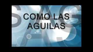 Como las Aguilas Letra Patricio Mena [upl. by Anillek]