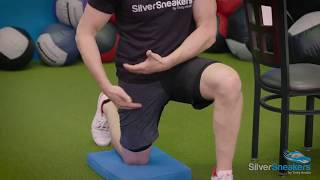 Beginners Guide Split Squat [upl. by Levison]