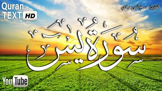 سورة ياسين يس تلاوة هادئة تريح القلب والعقل💙 القارئ حسام الدين عبادي Surah Yasin HD [upl. by Onibas]