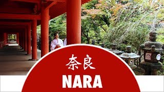 Discover Nara City  Japan Experience [upl. by Fausta186]