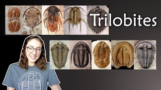 Arthropoda Pt 2 Trilobites Invertebrate Paleontology  GEO GIRL [upl. by Bonucci]