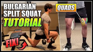 How to do the BULGARIAN SPLIT SQUAT  2 Minute Tutorial [upl. by Anayek]