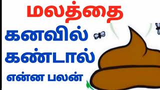 மலம் கனவில் கண்டால்  malam kanavil kandal enna palan [upl. by Rica10]