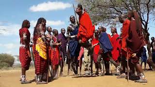 Maasai Songs Traditional Instruments and Dances [upl. by Nivla]