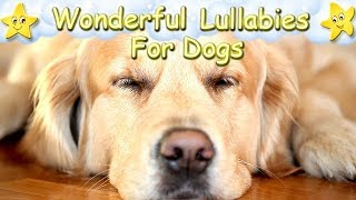 Super Relaxing Sleep Music For Golden Retrievers ♫ Relax Your Puppy Within 5 Minutes [upl. by Marsiella]