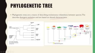 Genetics Gene mapping in 4 steps [upl. by Westfall]