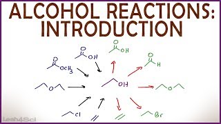 Introduction to Alcohol Properties and Reactions [upl. by Gruber]