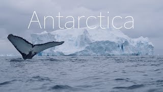 ANTARCTICA  The Frozen Continent  4k DRONE Video [upl. by Nodyl]