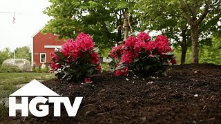 All About Azaleas  Gardening Tips  HGTV [upl. by Erving]